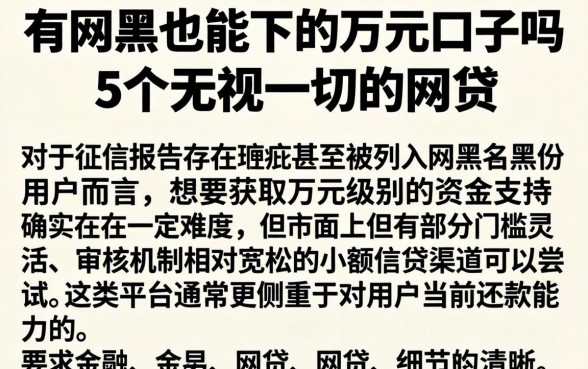 有网黑也能下的万元口子吗，细致阐述5个无视一切的网贷