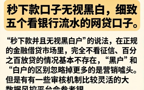 秒下款口子无视黑白，细致阐述五个看银行流水的网贷口子