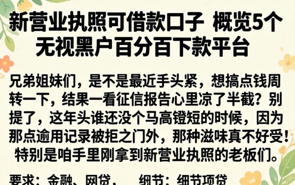 新营业执照可借款口子，概览5个无视黑户百分百下款平台
