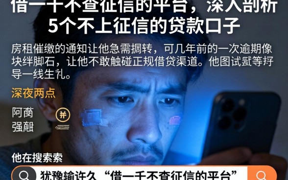 借一千不查征信的平台，深入剖析5个不上征信的贷款口子