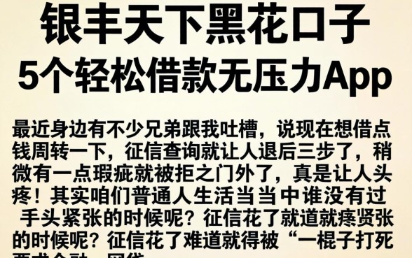 银丰天下黑花口子，概括5个轻松借款无压力app