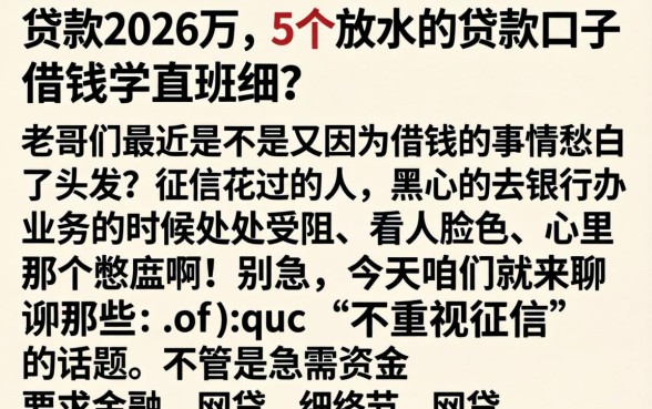 贷款2026万，详细阐述5个放水的贷款口子