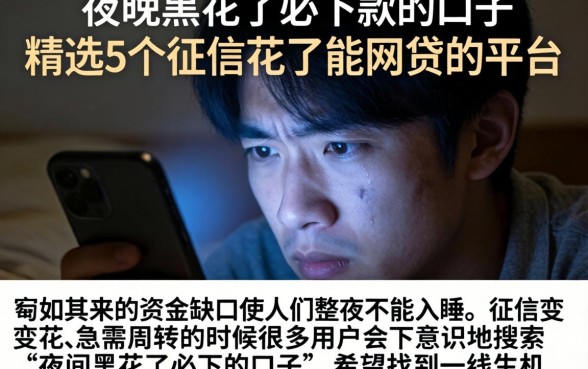 夜间黑花了必下款的口子，精选5个征信花了能网贷的平台