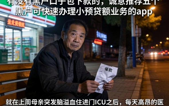 有没有黑户口子包下款的，诚意推荐五个黑户可快速办理小额贷款业务的app