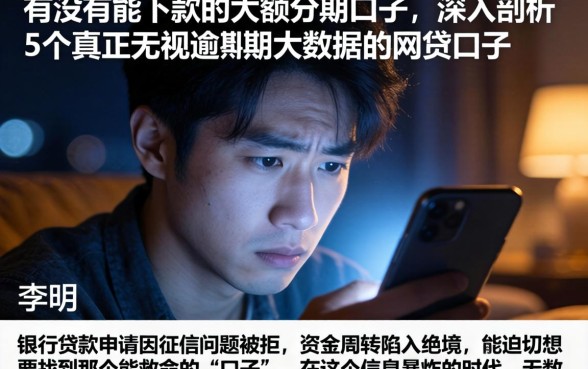 有没有能下款的大额分期口子，深入剖析5个真正无视逾期大数据的网贷口子