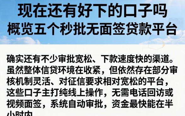 现在还有好下的口子吗，概览五个秒批无面签贷款平台