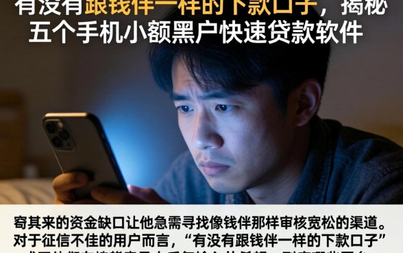 有没有跟钱伴一样的下款口子，揭秘五个手机小额黑户快速贷款软件