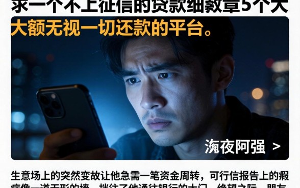 求一个不上征信的贷款，细致阐述5个大额无视一切还款的平台
