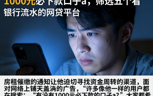1000元必下款的口子a，筛选五个看银行流水的网贷平台