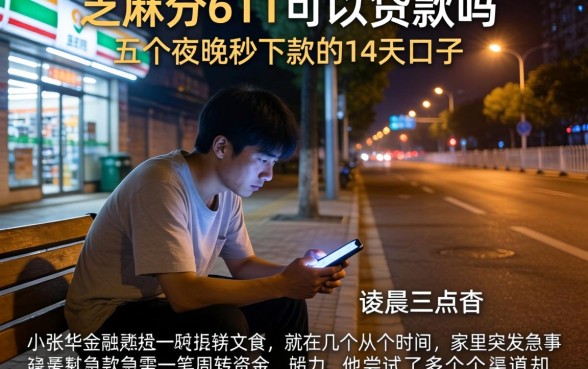 芝麻分611可以贷款吗，细致阐述五个夜间秒下款的14天口子