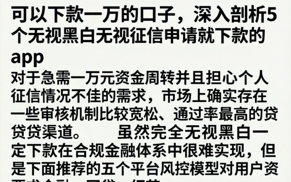可以下款一万的口子，深入剖析5个无视黑白无视征信申请就下款的app