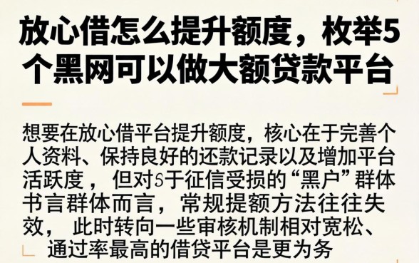 放心借怎么提升额度，枚举5个黑户可以做大额贷款平台