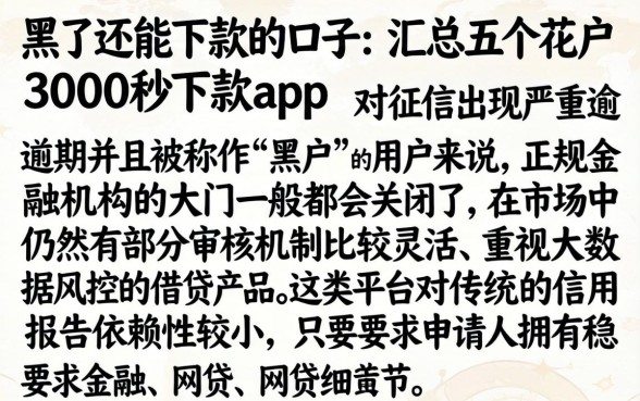 黑了还能下款的口子,汇总五个花户3000秒下款app