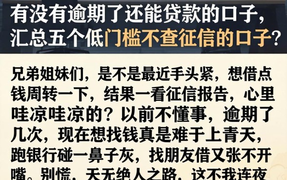有没有逾期了还能贷款的口子，汇总五个低门槛不查征信的口子