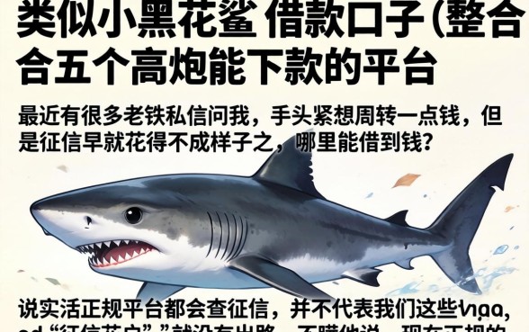类似小黑花鲨的借款口子，整合五个高炮能下款的平台