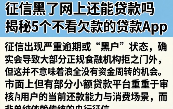 征信黑了网上还能贷款吗，揭秘5个不看欠款的贷款app