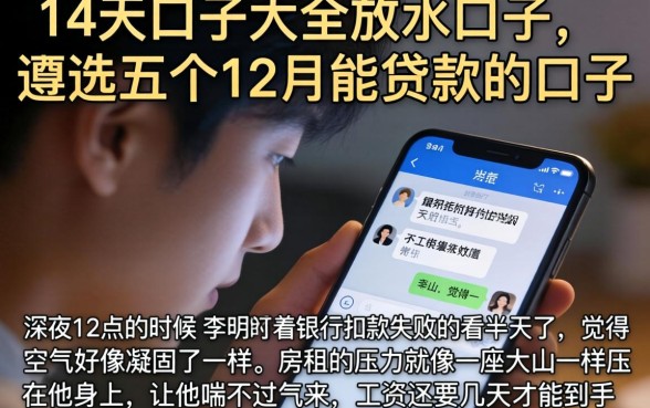 14天口子大全放水口子，遴选五个12月能贷款的口子
