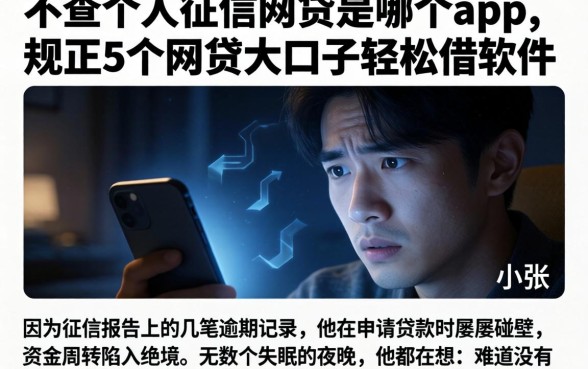 不查个人征信的网贷是哪个app，规整5个网贷大口子轻松借软件
