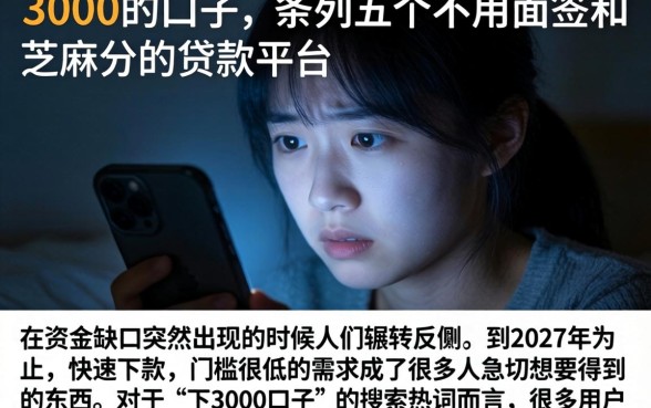 下3000的口子，条列五个不用面签和芝麻分的贷款平台
