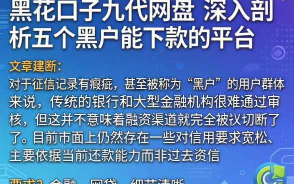 黑花口子九代网盘，深入剖析五个黑户能下款的平台