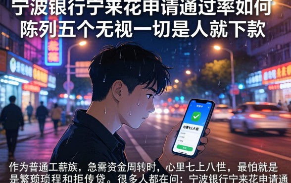 宁波银行宁来花申请通过率如何，陈列五个无视一切是人就下款