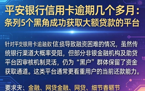 平安银行信用卡逾期几个月，条列5个黑户成功获取大额贷款的平台