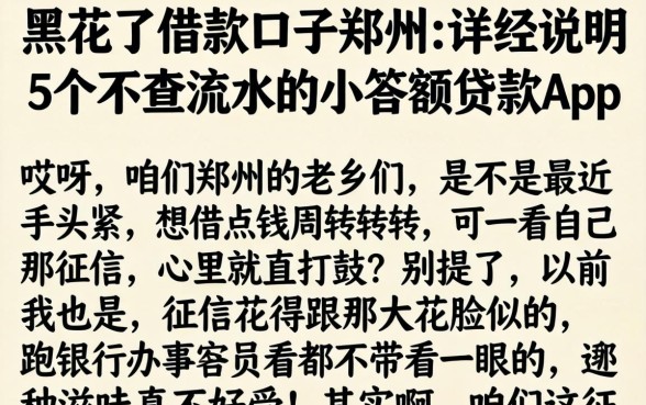 黑花了借款口子郑州，详尽说明5个不查流水的小额度贷款app