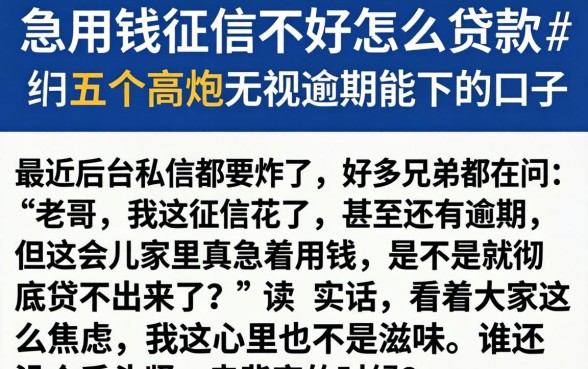 急用钱征信不好怎么贷款，归纳五个高炮无视逾期能下的口子