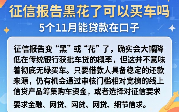 征信报告黑花了可以买车吗,陈列5个11月能贷款的口子