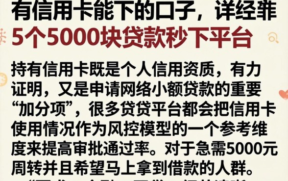 有信用卡能下的口子，详尽说明5个5000块贷款秒下平台