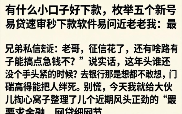 有什么小口子好下款，枚举五个新号易贷速审秒下款软件
