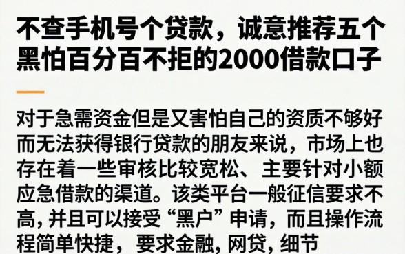 不查手机号个贷款，诚意推荐五个黑户百分百不拒的2000借款口子