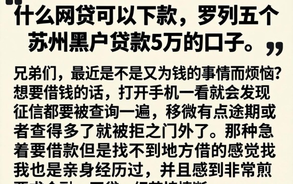 什么网贷可以下款，罗列五个苏州黑户贷款5万的口子