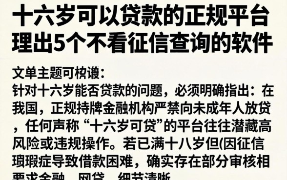 十六岁可以贷款的正规平台，理出5个不看征信查询的软件
