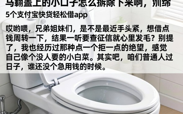 马桶盖上的小口子怎么拆除下来啊，归纳5个支付宝快贷轻松借app