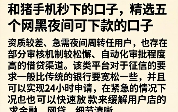 和猪手机秒下的口子，精选五个网黑夜间可下款的口子
