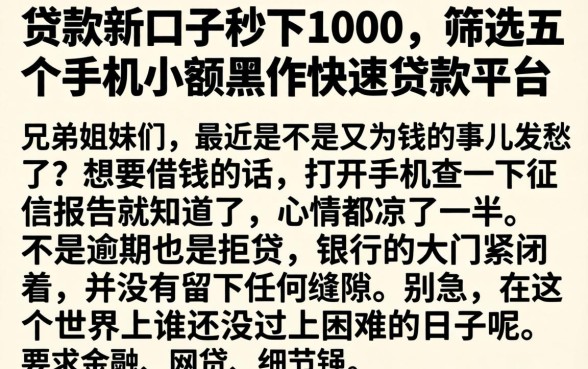 贷款新口子秒下1000，筛选五个手机小额黑户快速贷款平台