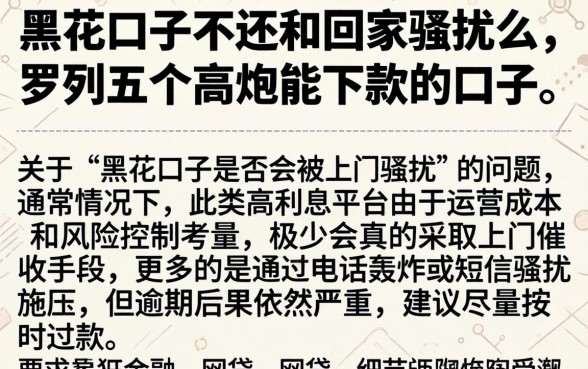 黑花口子不还回到家骚扰么，罗列五个高炮能下款的口子