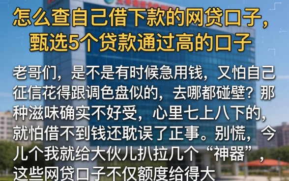 怎么查自己借下款的网贷口子，甄选5个贷款通过高的口子