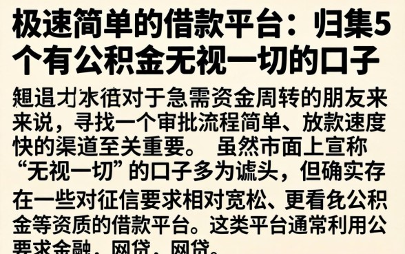 极速简单的借款平台，归集5个有公积金无视一切的口子
