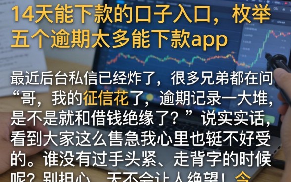 14天能下款的口子入口，枚举五个逾期太多能下款app