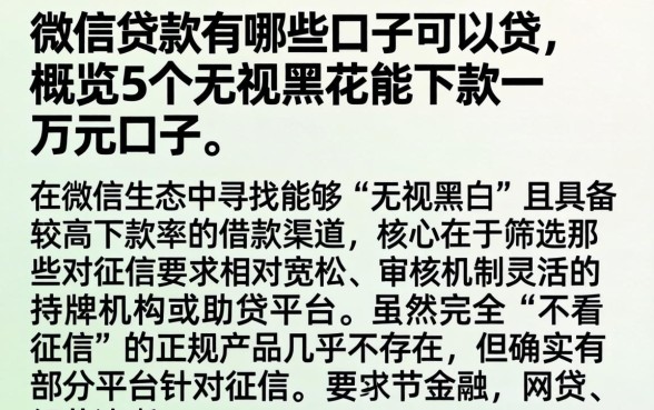 微信贷款有哪些口子可以贷，概览5个无视黑花能下款一万元口子