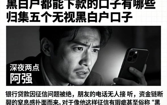 黑白户都能下款的口子有哪些，归集五个无视黑白户口子