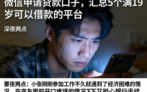 微信申请贷款的口子，汇总5个满19岁可以借款的平台