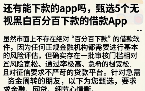 还有能下款的app吗，甄选5个无视黑白百分百下款的借款app