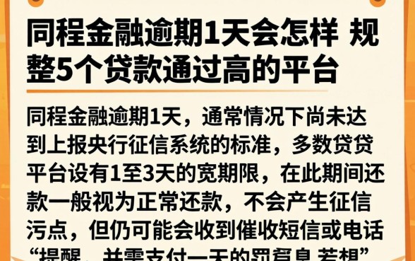 同程金融逾期1天会怎样，规整5个贷款通过高的平台