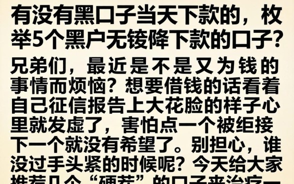 有没有黑口子当天下款的，枚举5个黑户无条件下款的口子
