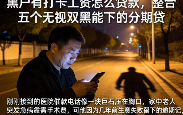 黑户有打卡工资怎么贷款，整合五个无视双黑能下的分期贷