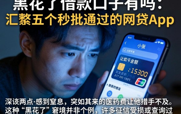 黑花了借款口子有吗，汇整五个秒批通过的网贷app