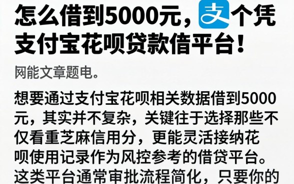 怎么借到5000元，详尽说明5个凭支付宝花呗贷款的平台